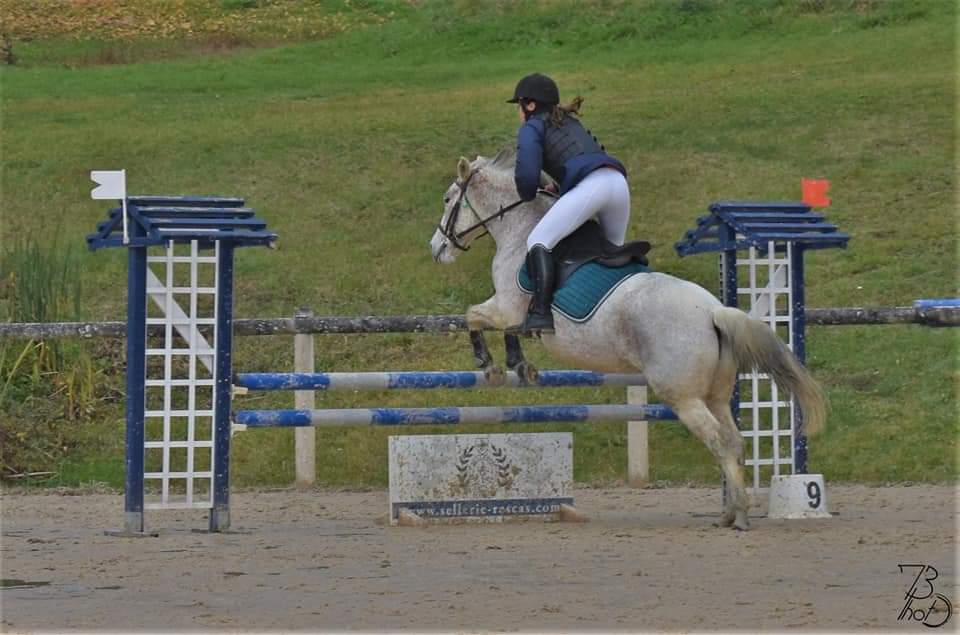 Ecole d'équitation cours enseignement