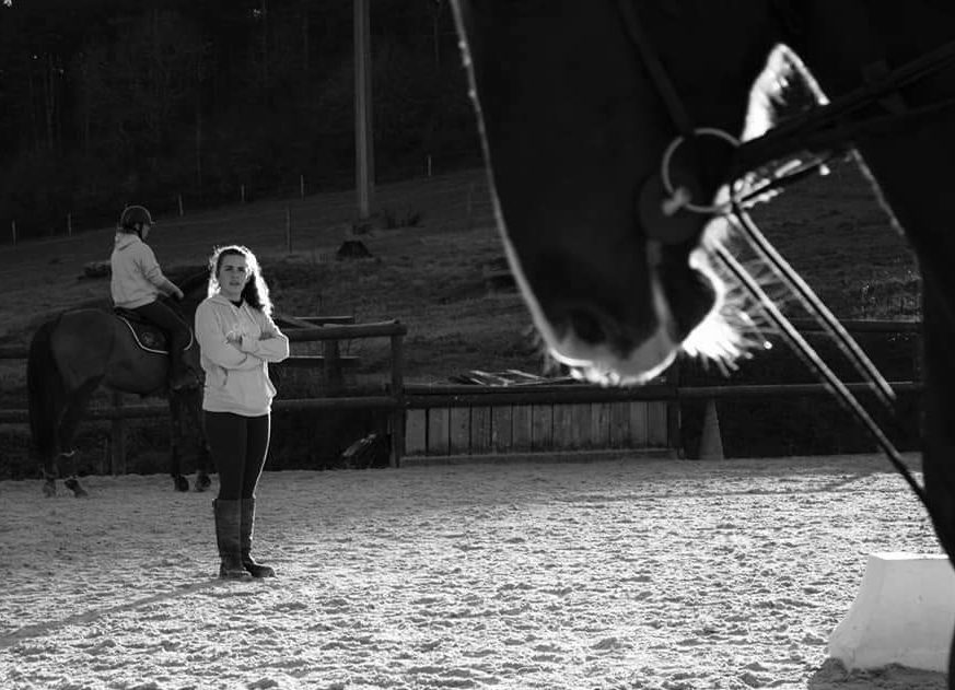 Ecole d'équitation cours enseignement