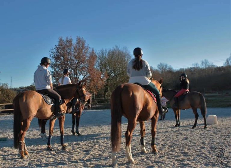 Ecole d'équitation cours enseignement
