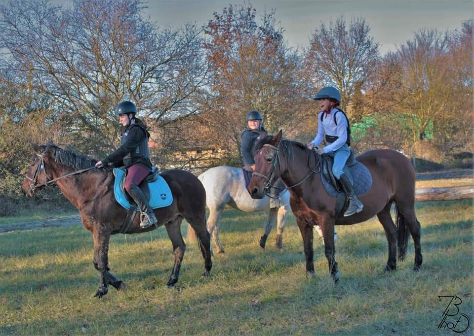 Ecole d'équitation cours enseignement