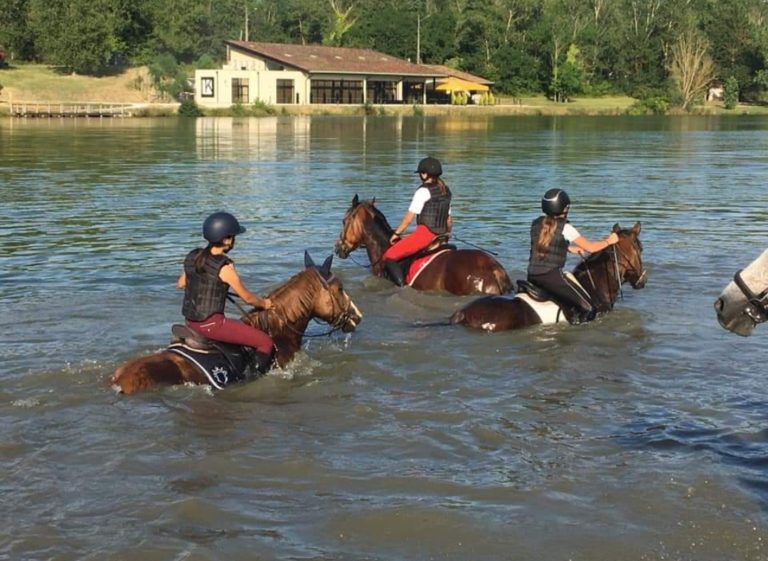 Ecole d'équitation cours enseignement