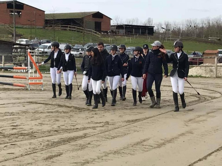 Ecole d'équitation cours enseignement