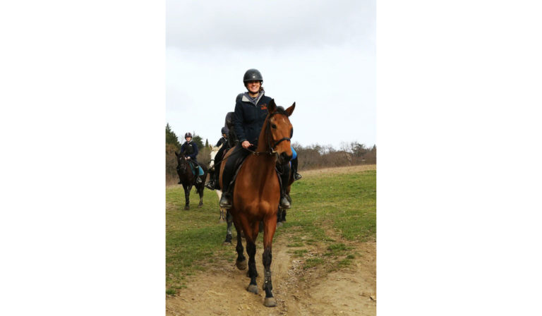 Ecole d'équitation cours enseignement