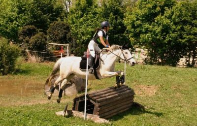 CONCOURS : Les cavaliers de complet étaient ce week-end au CCE organisé par les écuries d'En Graougnou.