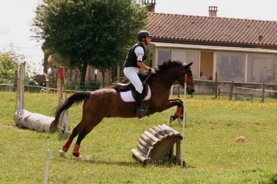 CONCOURS : Les cavaliers de complet étaient ce week-end au CCE organisé par les écuries d'En Graougnou.