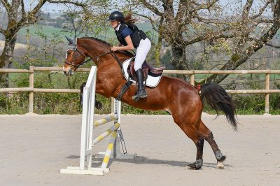 CSO interne Mons : Retour en image sur le CSO interne où les cavaliers de Flourens été présents.