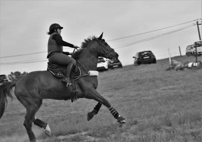 DERBY CROSS :  C'était le derby cross annuel aux écuries Flourens equitation, une superbe journée sportive et conviviale.