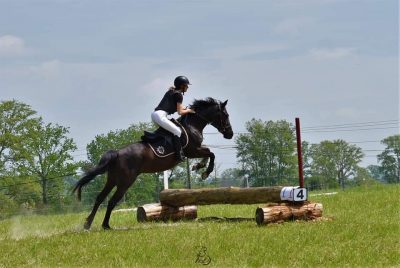 DERBY CROSS : C'était le derby cross annuel aux écuries Flourens equitation, une superbe journée sportive et conviviale.