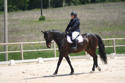 CONCOURS : Les cavalières de Flourens equitation étaient à la Seillone ce week-end pour le concours de dressage. De belles performances et une prise d'expérience pour les couples.