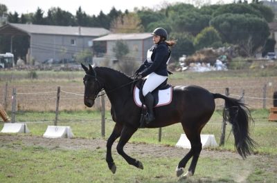 DERBY OFFICIEL  : Premier concours officiel à Flourens Equitation, une belle première édition qui s’est déroulée dans la bonne humeur et le partage. Merci à tous !