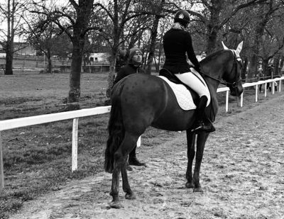 CONCOURS : Les cavaliers de dressage étaient de sortis ce week-end à l'ENVT !