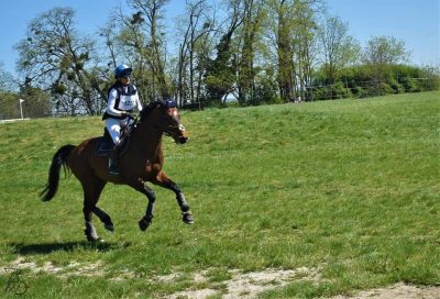 CONCOURS : L'équipe Flourens equitation était à PIBRAC ce week-end !