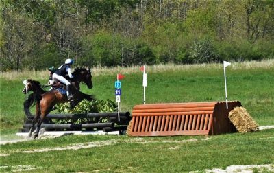 CONCOURS : L'équipe Flourens equitation était à PIBRAC ce week-end !