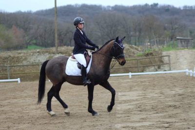 CONCOURS : De jolies reprises pour les cavalières de Flourens.