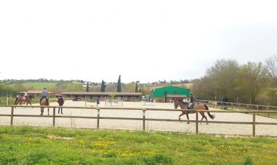 Nicolas burtin equitation toulouse