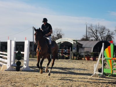 CONCOURS : Nos coachs ont repris le chemin des pistes lors du CSO de Vacquiers.