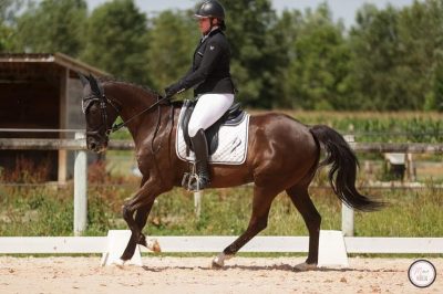 CONCOURS DRESSAGE : Une fin de saison qui se termine en beauté avec deux victoires : une en club 1 et une en club élite !