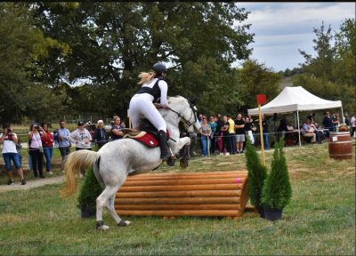 DERBY OFFICIEL  : Premier concours officiel à Flourens Equitation, une belle première édition qui s’est déroulée dans la bonne humeur et le partage. Merci à tous !