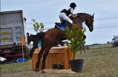 DERBY OFFICIEL : Premier concours officiel à Flourens Equitation, une belle première édition qui s’est déroulée dans la bonne humeur et le partage. Merci à tous !