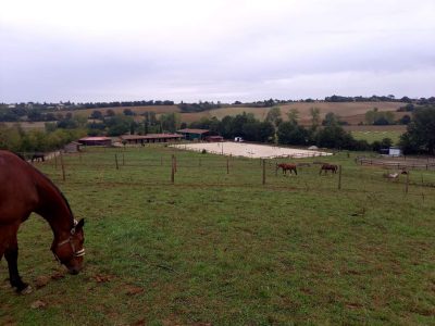 Flourens équitation écurie centre équestre